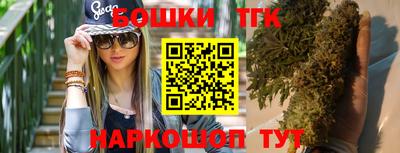 тгк Будённовск