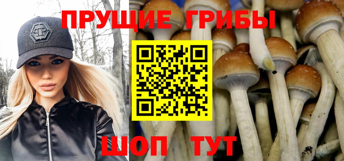 Галлюциногенные грибы мицелий  Вход с VPN  Галлюциногенные грибы GOLDEN TEACHER  Валуйки 