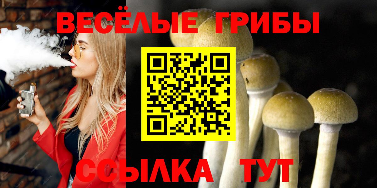 Галлюциногенные грибы ЛСД Валуйки